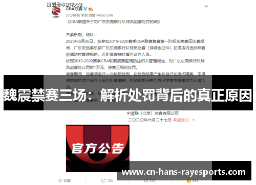 魏震禁赛三场:解析处罚背后的真正原因 魏震禁赛三场:解析处罚背后的真正原因